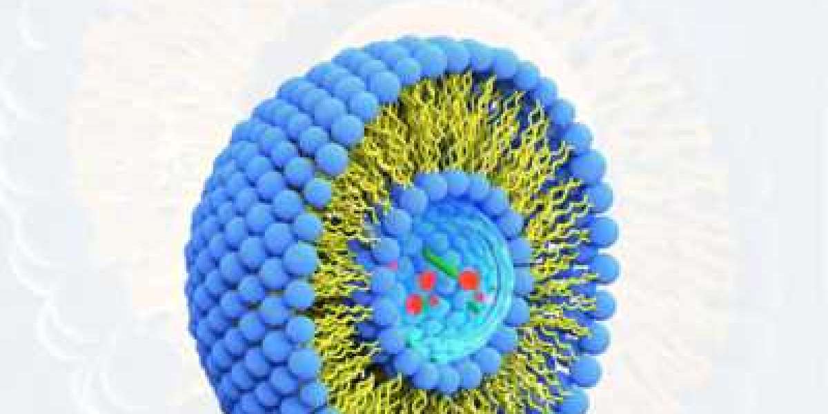 Liposome Drug Delivery Market Set To Grow According To Forecasts 2022-2029