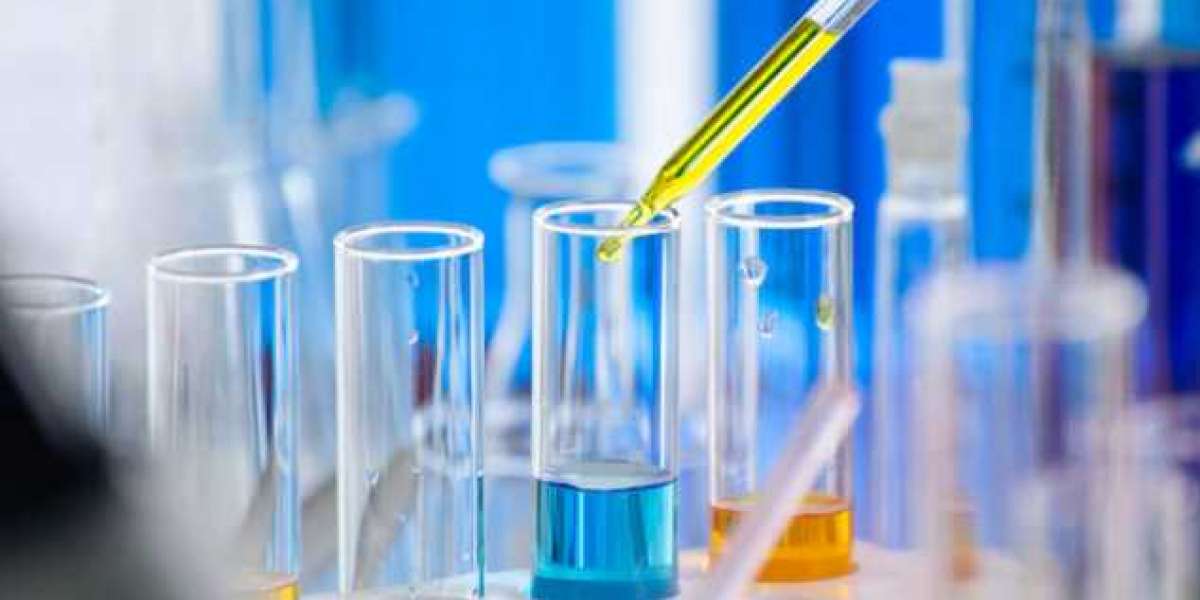 Geomembranes Market Analysis by Size, Growth Status, Industry Development Challenges & Expert Reviews