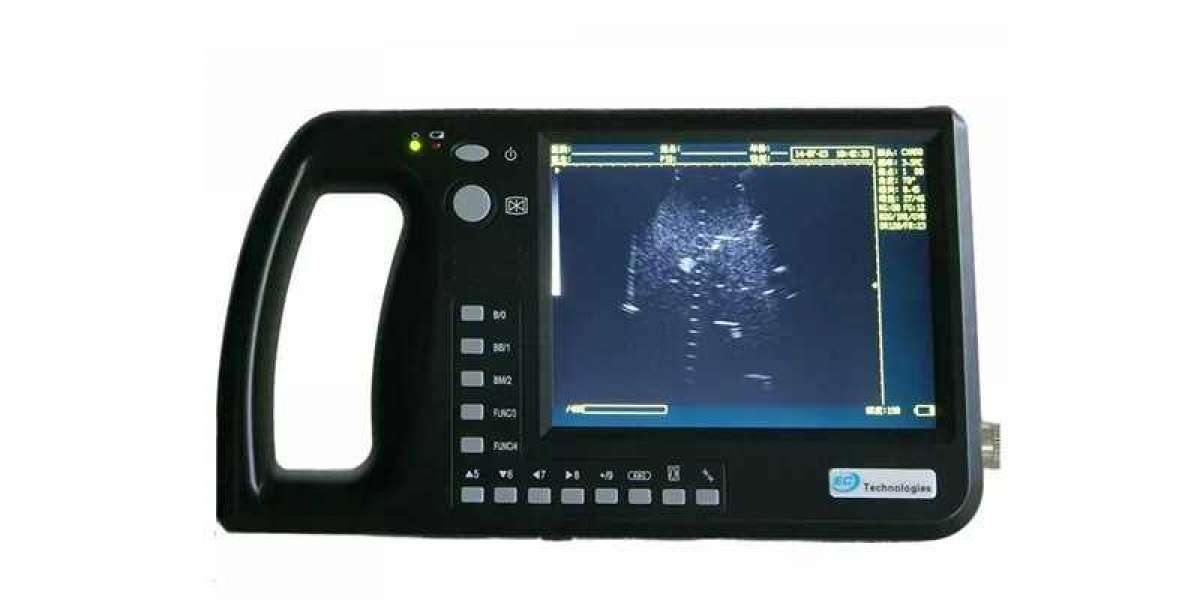 What are the characteristics, uses and operation methods of the portable B-ultrasound machine for pigs?