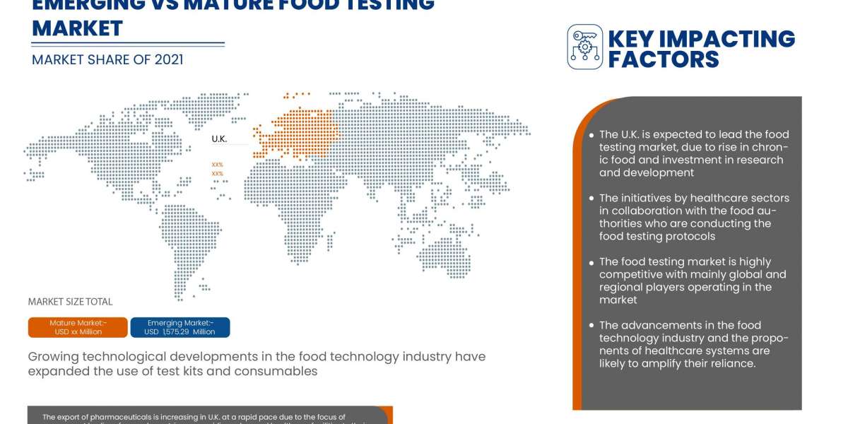 Ireland Food Testing Market Growth and Forecast 2028