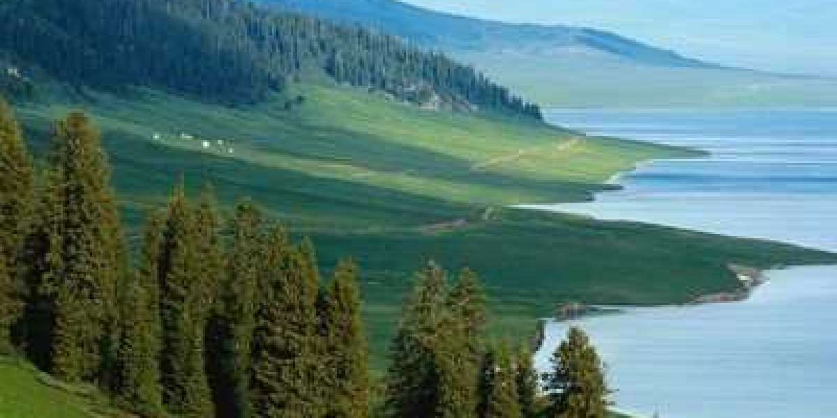 low price Multifunction Treadmill