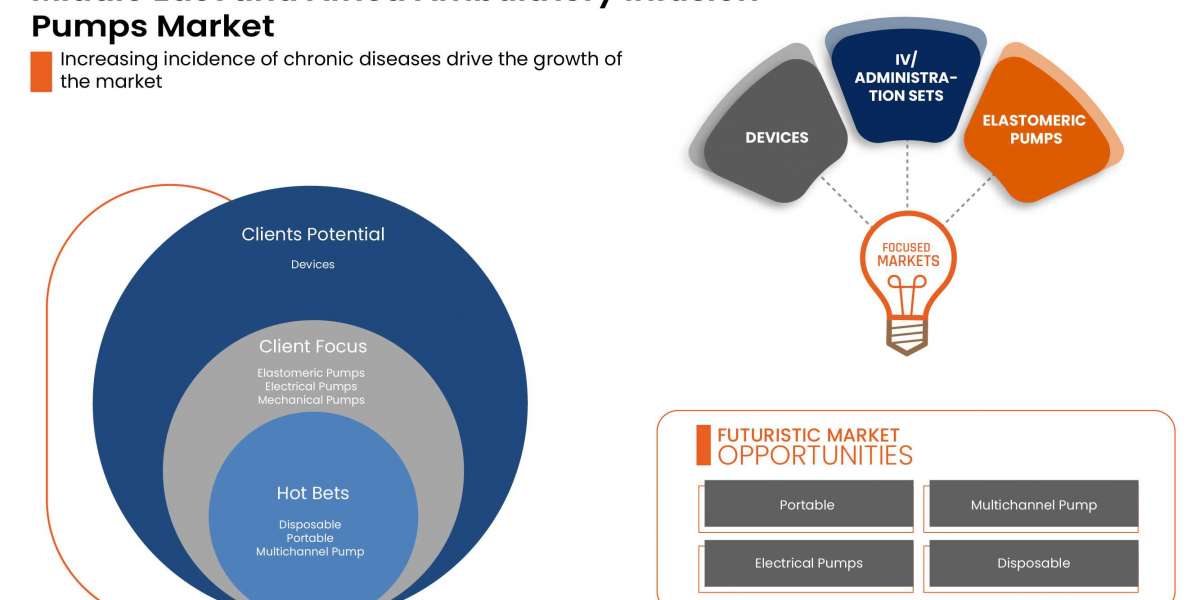 Middle East and Africa Ambulatory Infusion Pumps Market 2022 Insight On Share, Application, And Forecast Assumption 2029