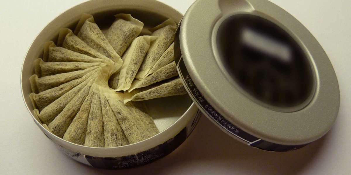 Snus Market Trends, Size, Share, Regional Analysis by Key Players | Industry Forecast