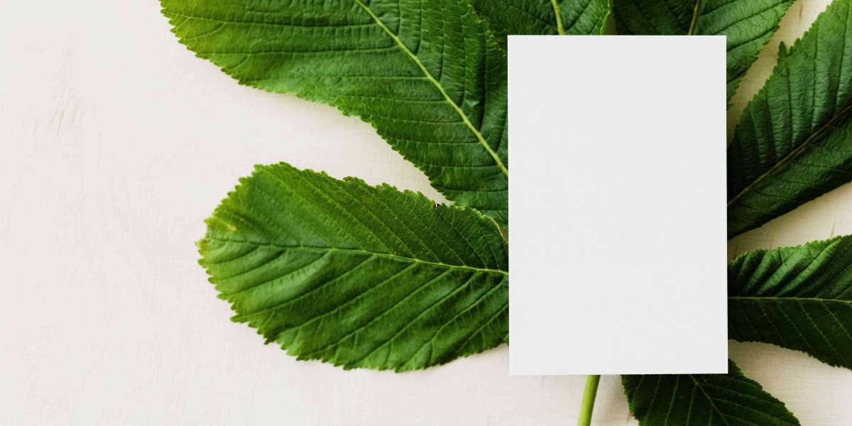 Organic Tissue Paper Market Outlook, Share, Key Players, Growth Trend, and Forecast, 2030