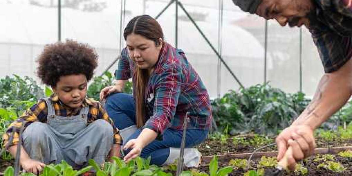 Agricultural Bactericides Market Research with Regional Segmentation, and Forecast