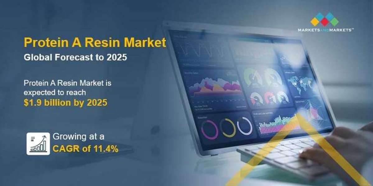 A Closer Look at the Booming Protein A Resin Market: Know the Advantages and Latest Trends in the Industry