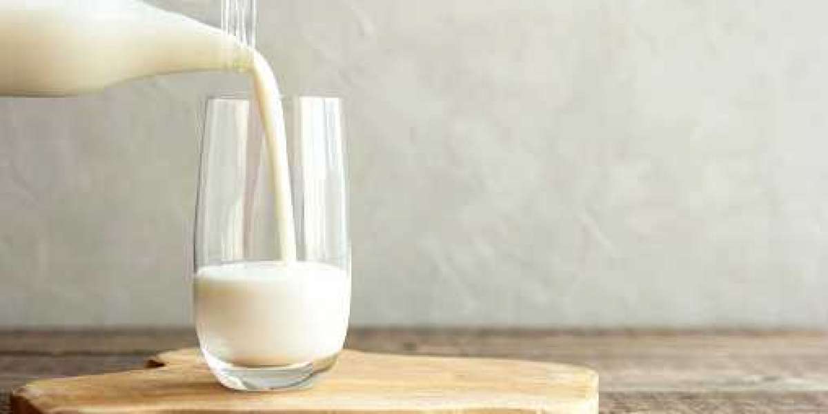 Milk Protein Market Share by Type, with Emerging Growth of Top Companies | Forecast 2030