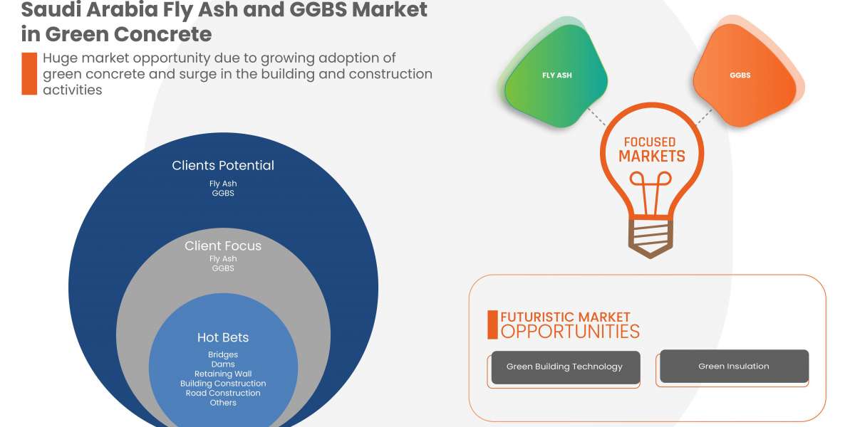 Saudi Arabia Fly Ash and GGBS Market Precise, Powerful, & Measurable in 2029