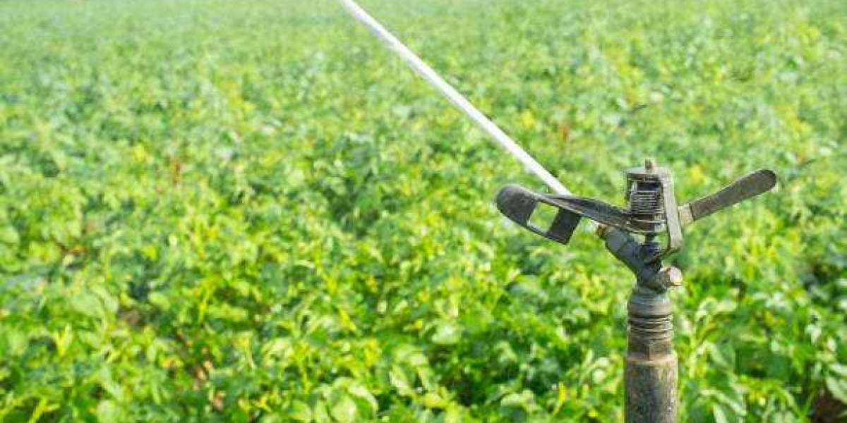 Key Miticides Market players players, Covid-19 Impacts And Forecast To 2030