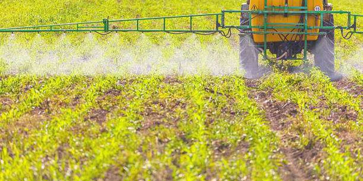 Agricultural Disinfectants Market research,Impacts And Forecast To 2030