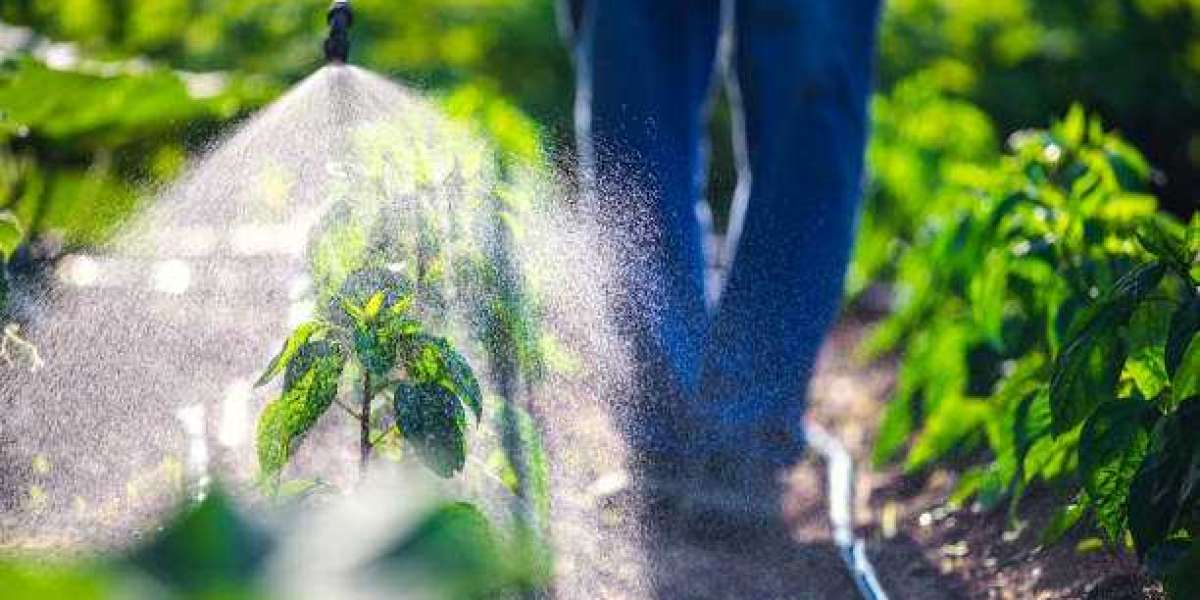 Agricultural Surfactants Market Outlook, Size, Share, Growth, Trends, and Forecast 2030