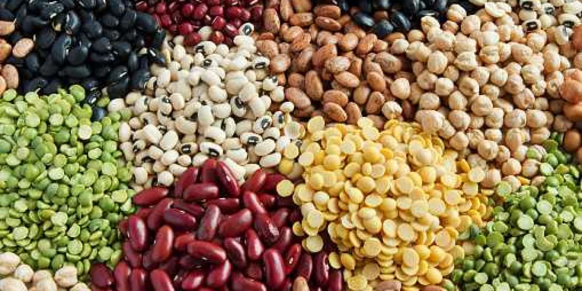 Fruits & Vegetable Seeds Market Value Share, Supply Demand and Value Chain 2030