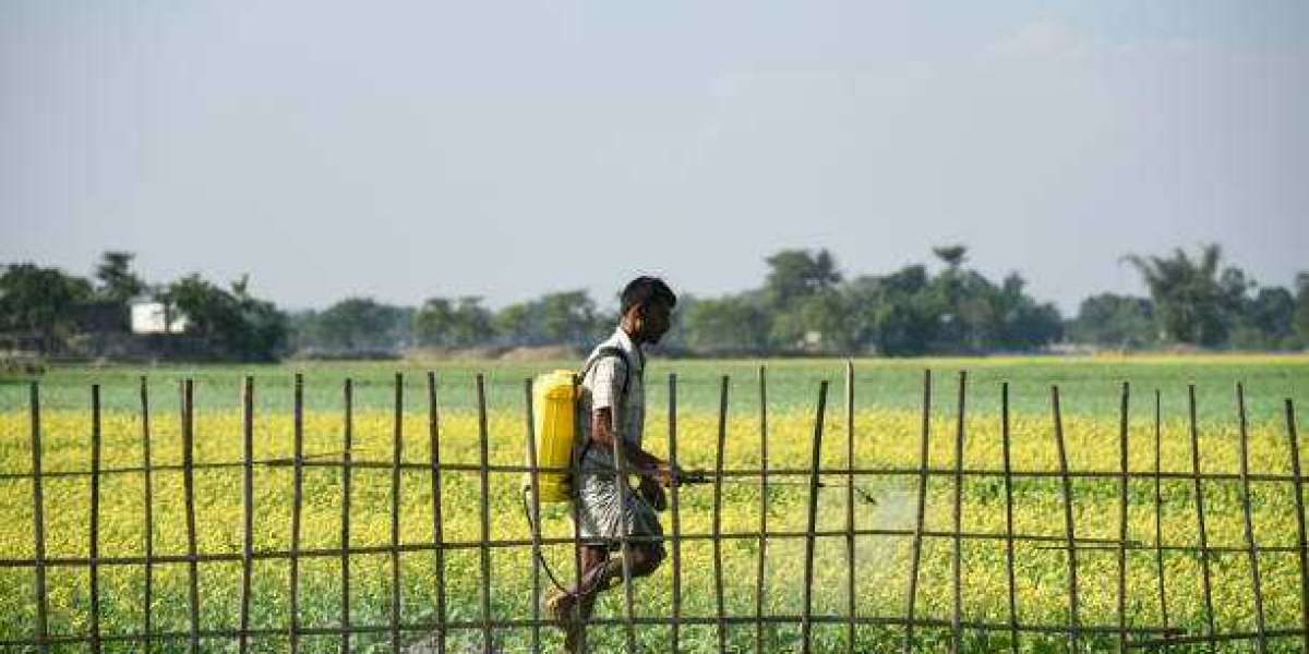 Agricultural Disinfectants Market insights, Sales Channel And Clients, 2030