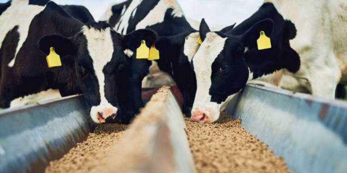 Key Cattle Feed Market players,Dynamics, By Region And Forecast To 2030
