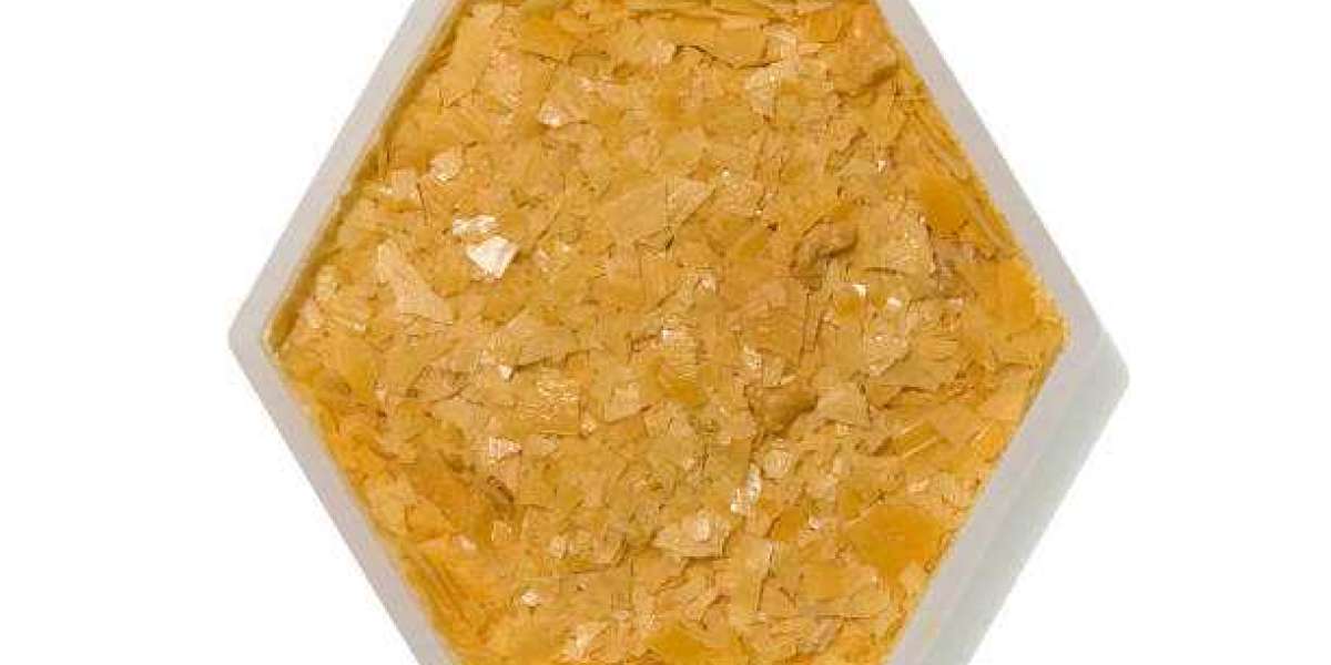 Carnauba Wax Market Trends, Demand, Scope, Growth Analysis and Industry Forecast To 2028