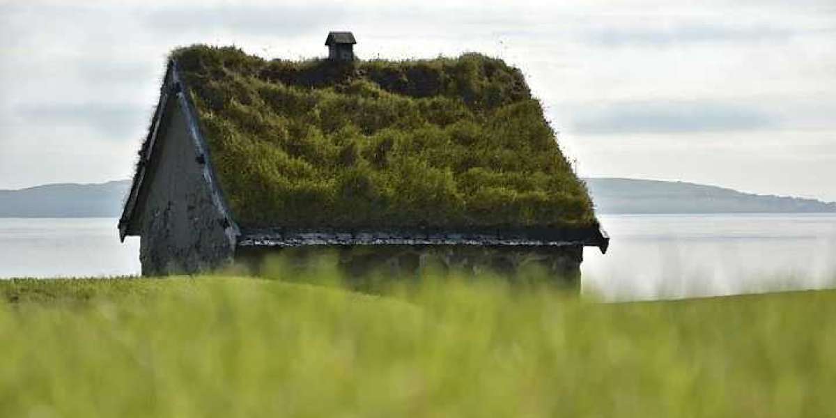 Turf Protection Market Trends, Size, Share, Growth Statistics, Forecast 2030