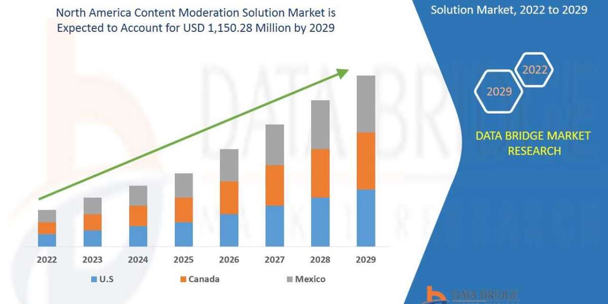 Content Moderation Solution Market Size, Share & Industry Trends 2029