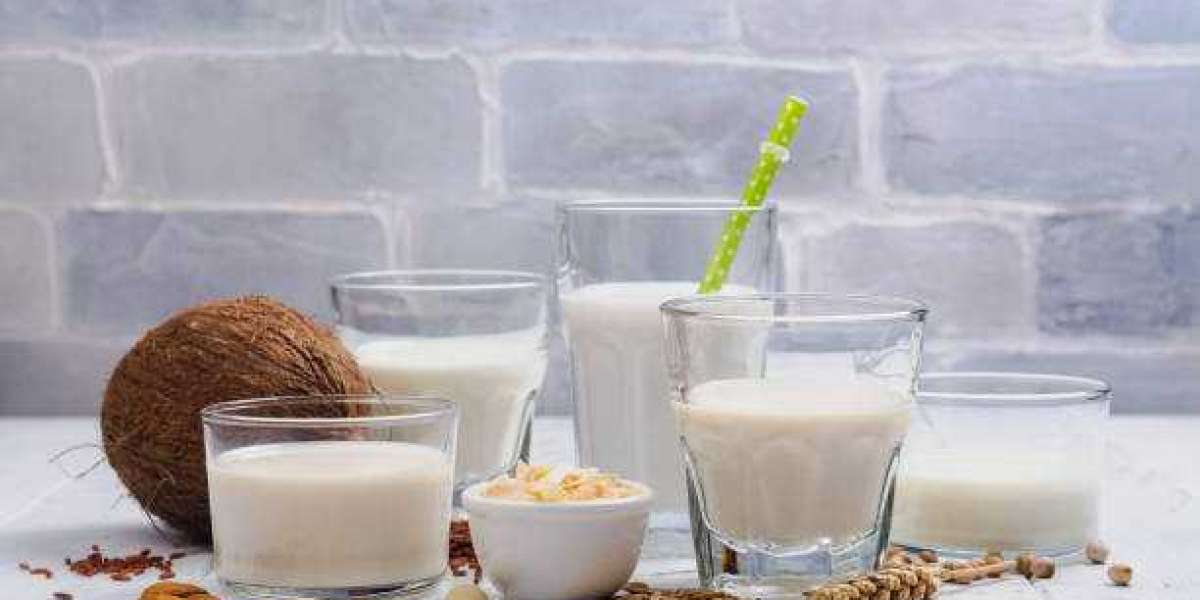 Dairy Alternatives Products Market Outlook, Size, Share, Growth, Trends, and Forecast 2030
