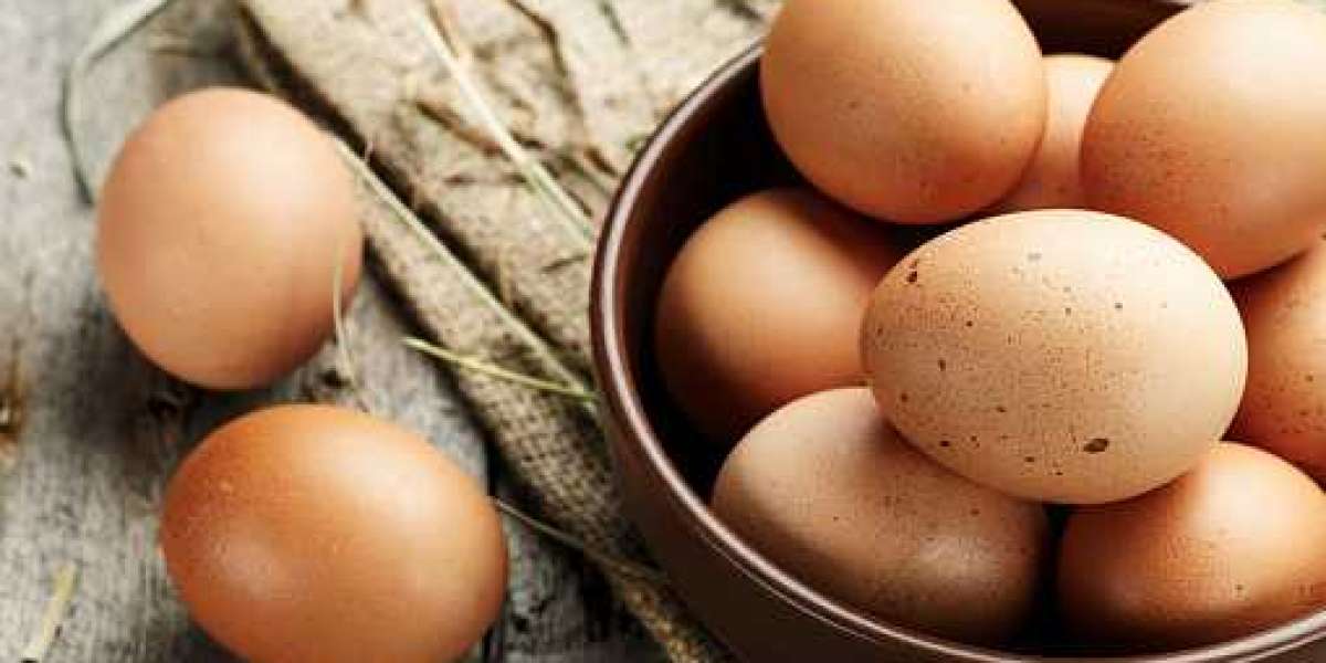Egg Products Market Trends, Statistics, Key Players, Revenue, and Forecast 2030