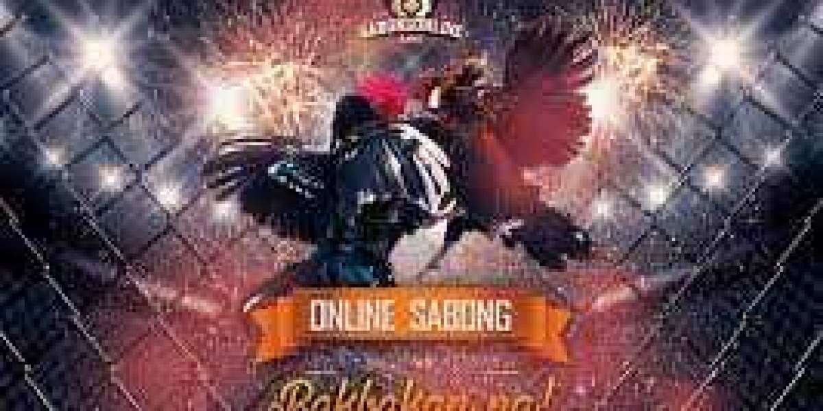 The Rise of International Sabong Online: Exploring the World of Online Cockfighting