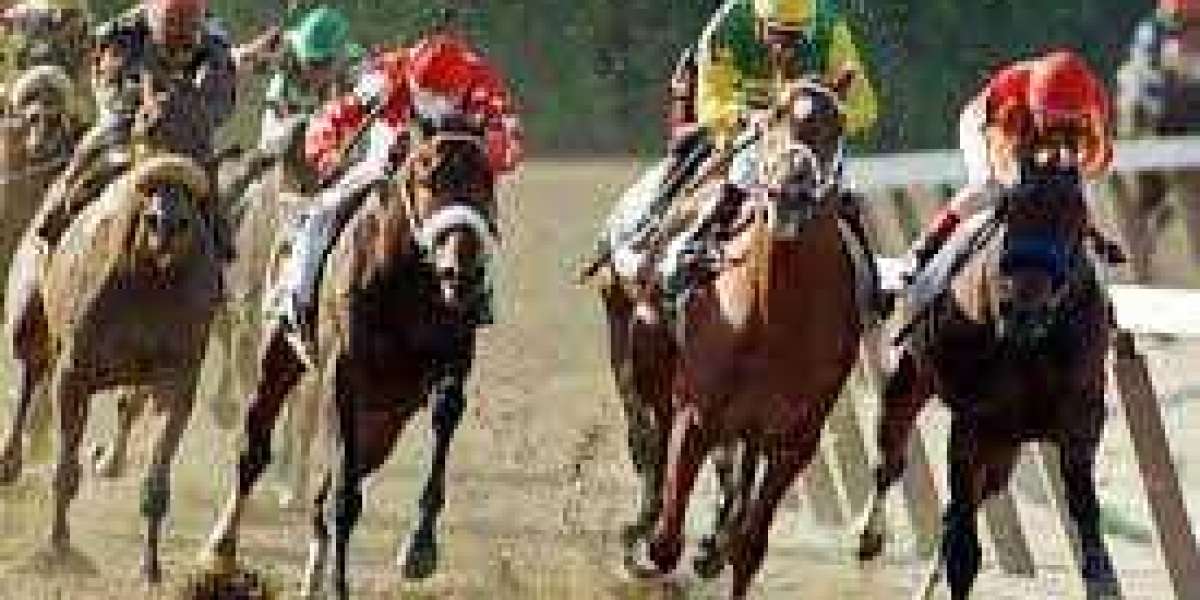 Top Horse Racing Betting Sites for Online Betting on Philippine Horse Racing