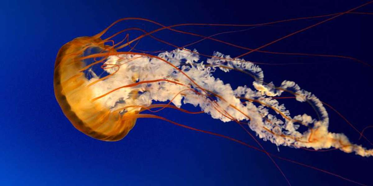 Choosing a Raw Ingredient Supplier