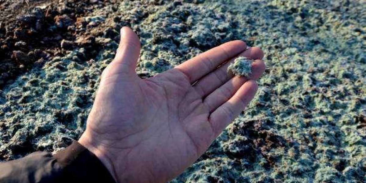 Soil Stabilization Market research, By Type, By Application Forecast To 2030