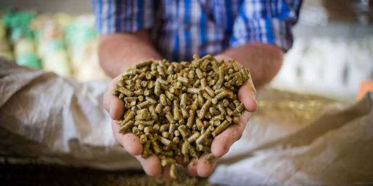 Starter Feed Market Outlook, Size, Share, Growth, Trends, and Forecast 2030