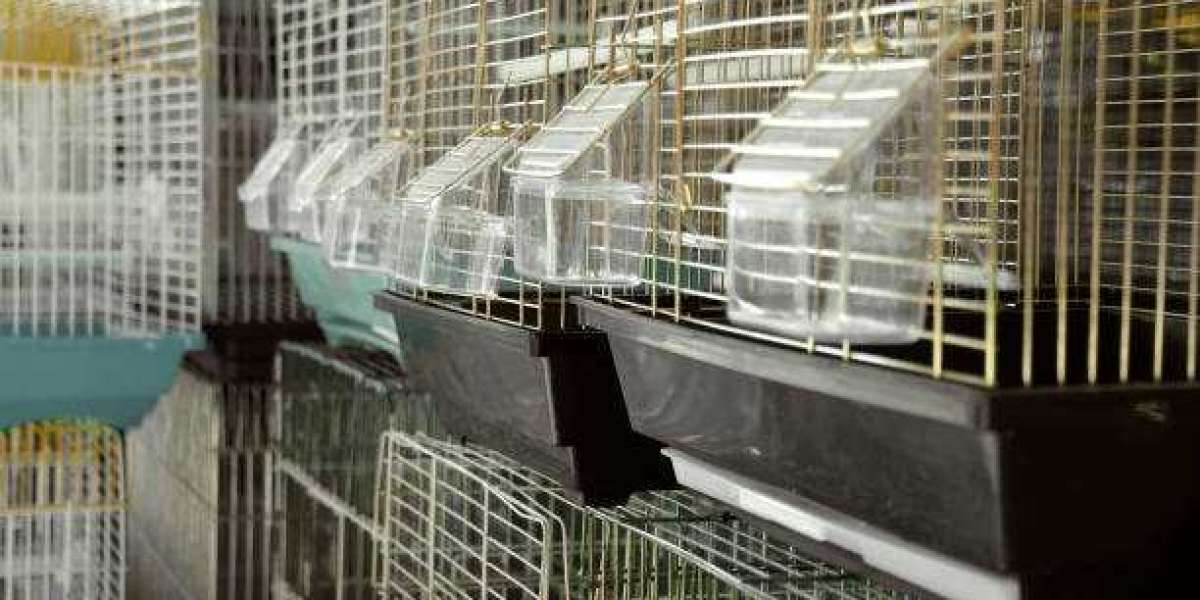 Global Pet Carriers Market share, Product Types By Players 2030