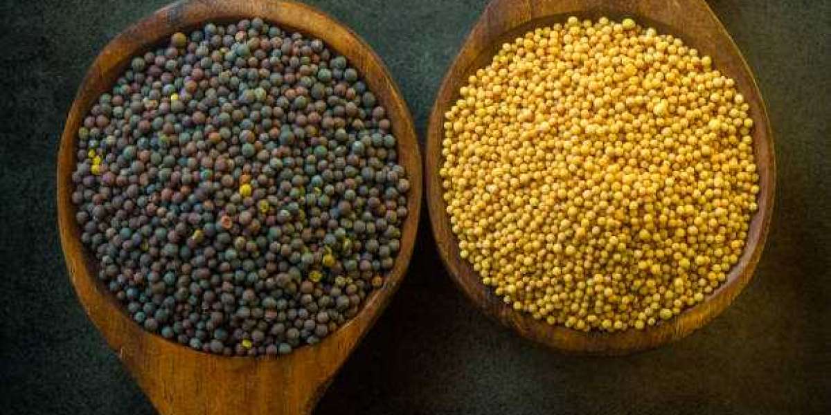 Oilseeds Market Trends, Demand, Scope, Growth Analysis and Industry Forecast To 2030