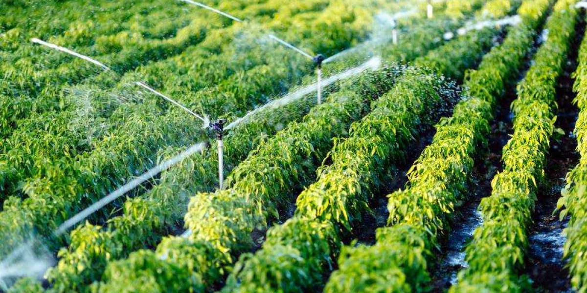 Europe Drip Irrigation Market Share, Growth Strategy, Trend Analysis, And Forecast 2028