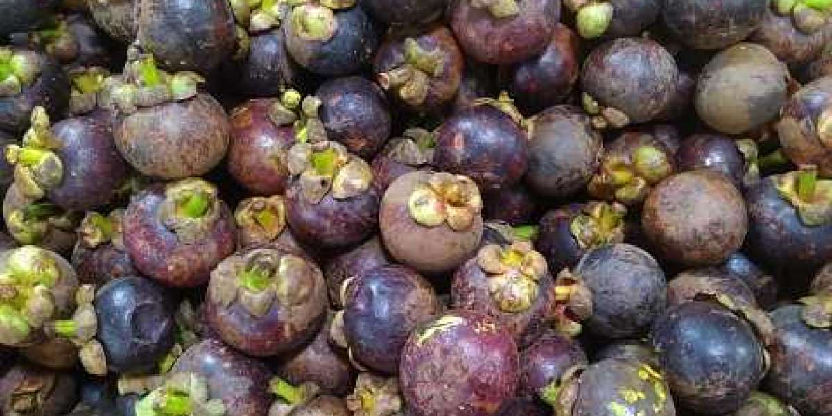 Key Garcinia Market players, Type And Forecast Upto 2030