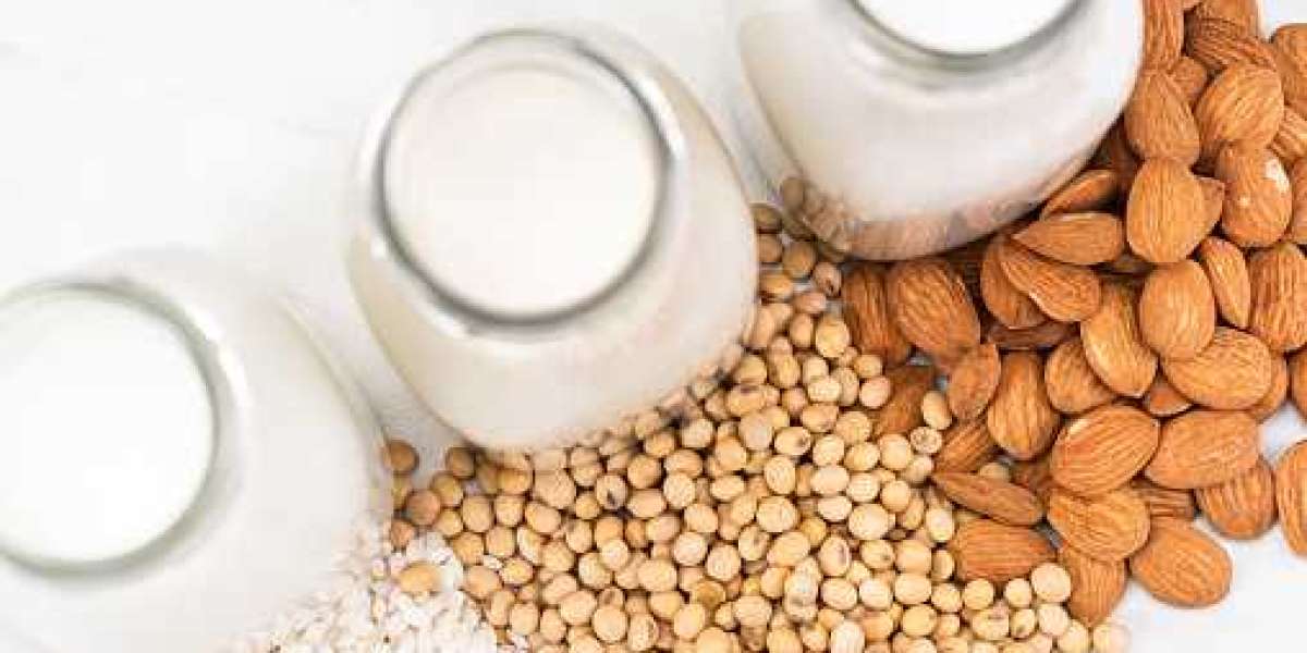 Calf Milk Replacers Market Report, Industry Trends, Share, Size, Growth, Opportunities and Forecasts