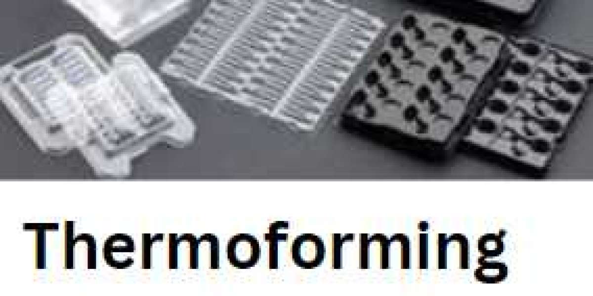 The Future of Thermoforming Plastic: Trends and Opportunities