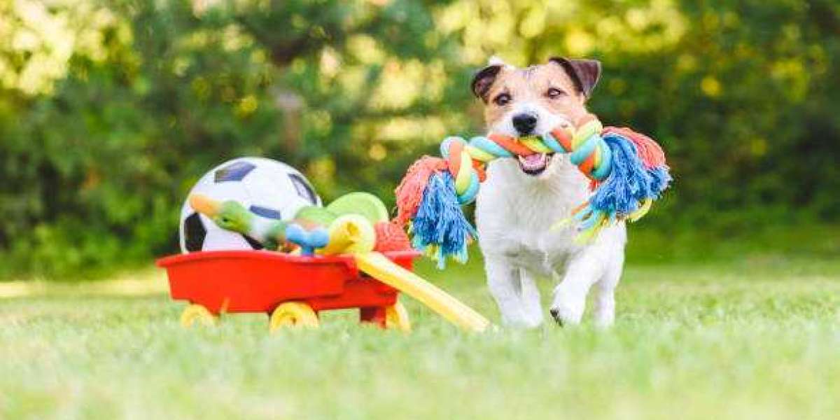 Pet Care Products Market share, Drivers & Trend Analysis 2030