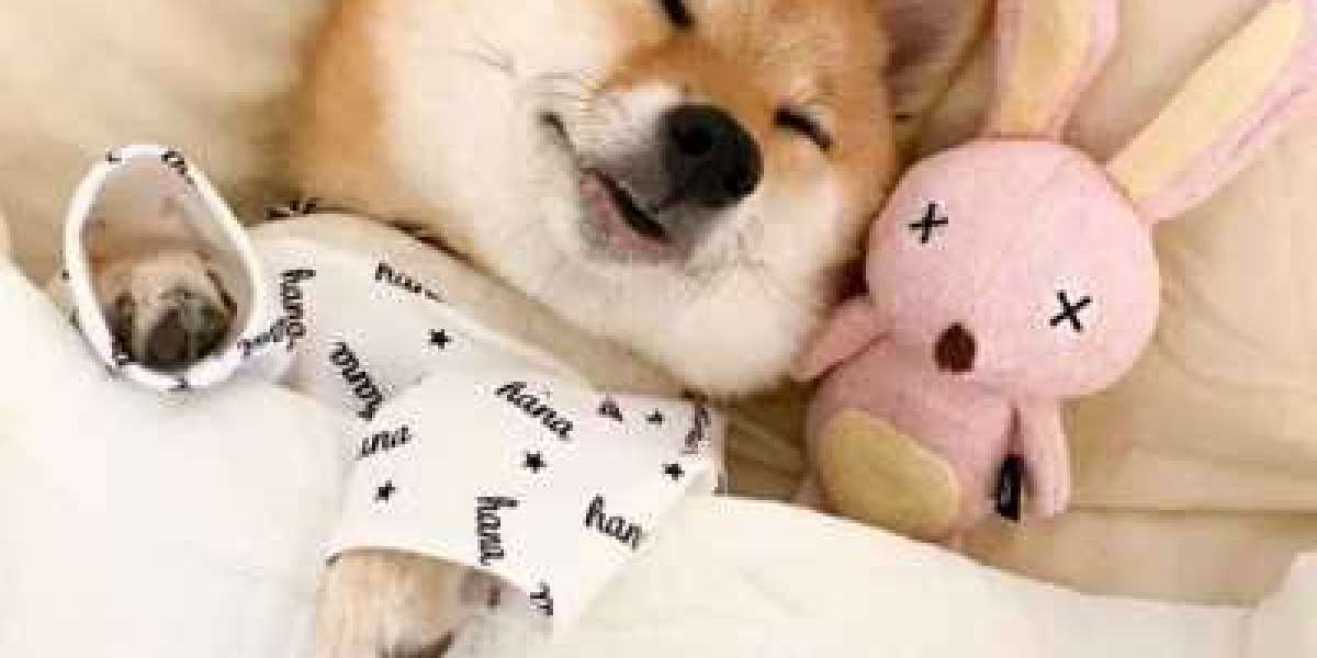 China L-Citrulline DL-Malate 2:1 suppliers