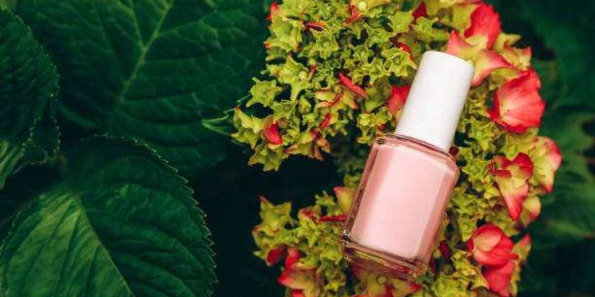 Non-Toxic Nail Polish Market Outlook, Size, Share, Growth, Trends, and Forecast 2030