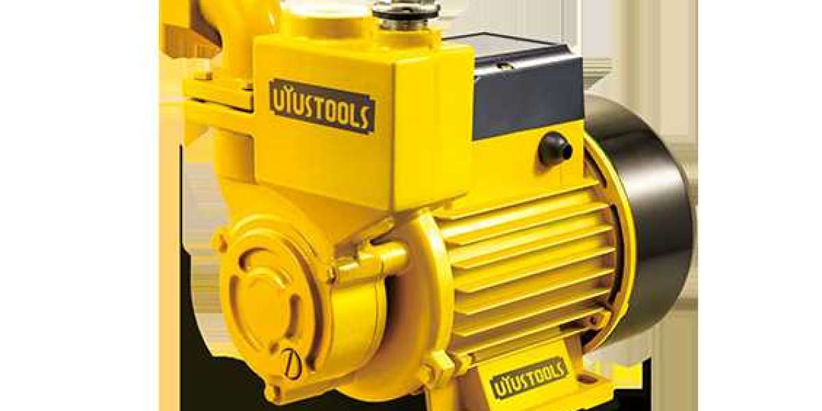 SELF-PRIMING PERIPHERAL PUMP