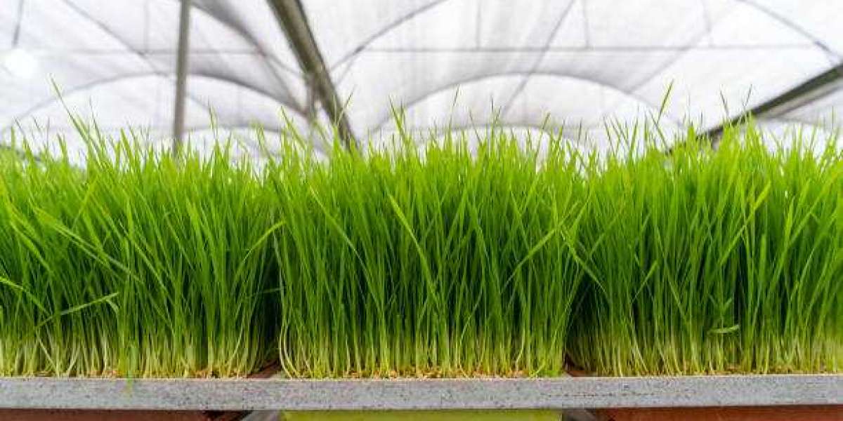 Key Agricultural Enzymes Market players, Swot Analysis And Forecast To 2030