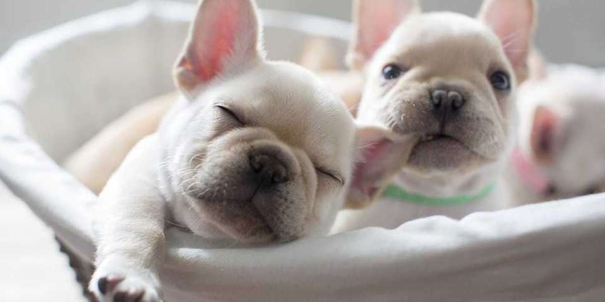 china Basin Wash Mixer Faucet factory