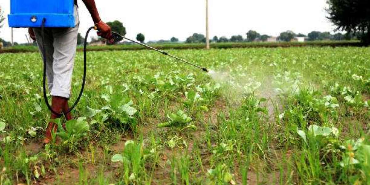 Agricultural Surfactants Market Trends, Demand, Scope, Growth Analysis and Industry Forecast To 2028