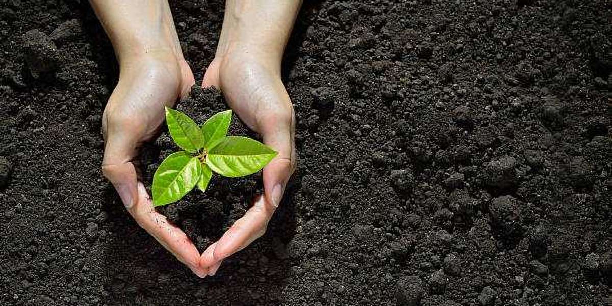 Soil Conditioners Market Outlook, Size, Share, Growth, Trends, and Forecast 2030