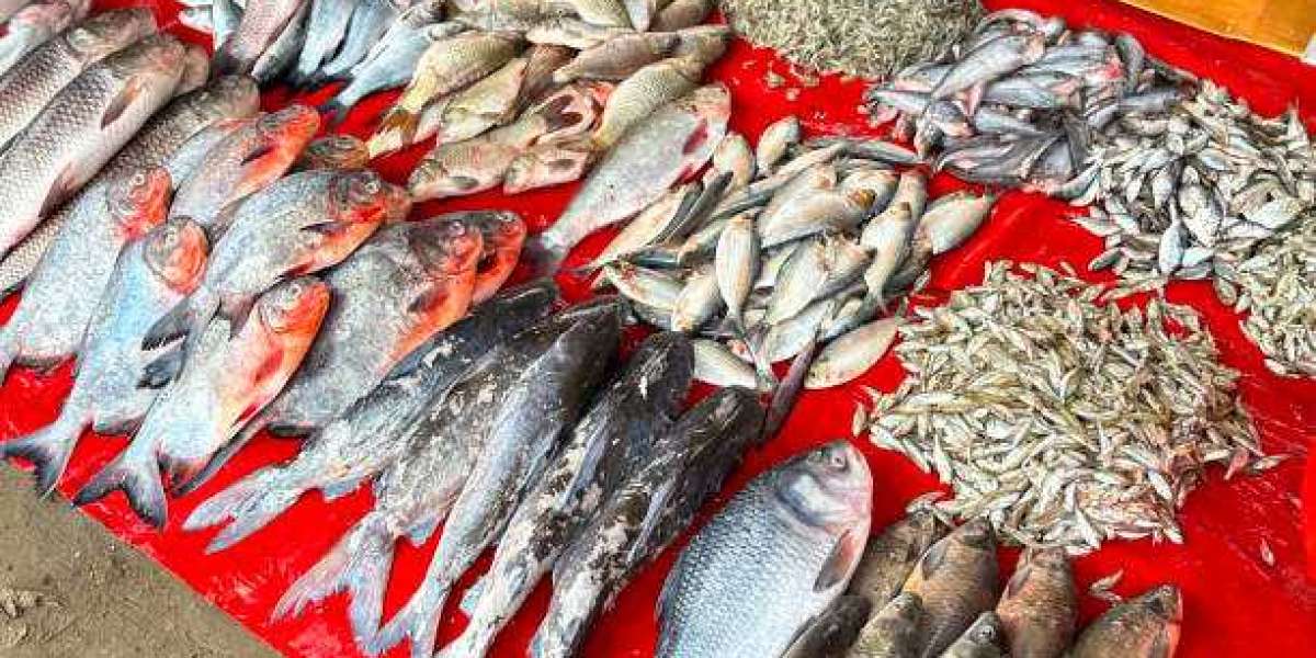 Fishmeal Market share, Competitive Landscape Forecast To 2030