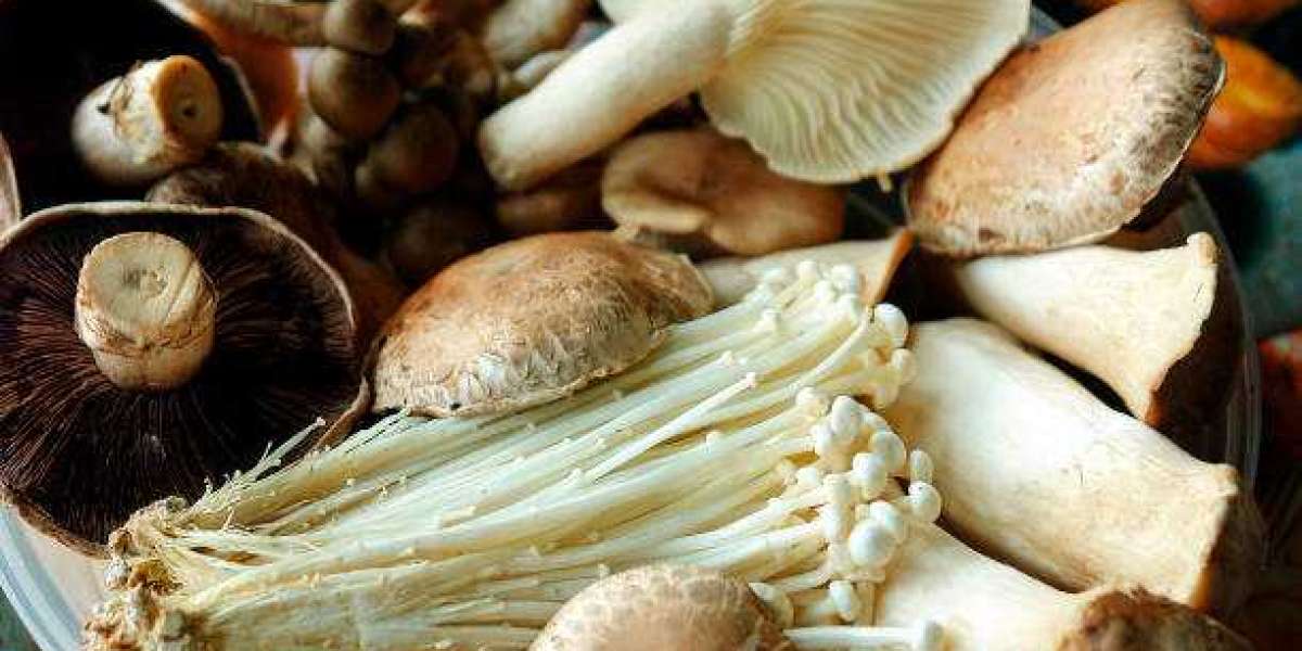 Key Shiitake Mushroom Market players, Challenges, Strategies  2030