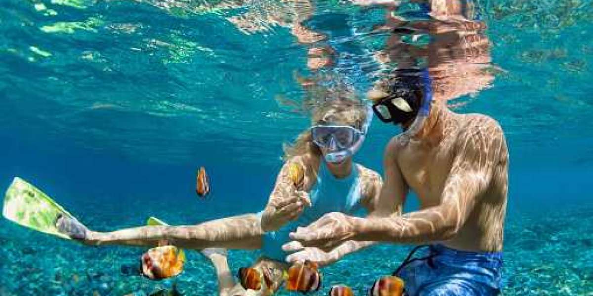 Key Nisin market Players,Business Opportunities 2022-2030