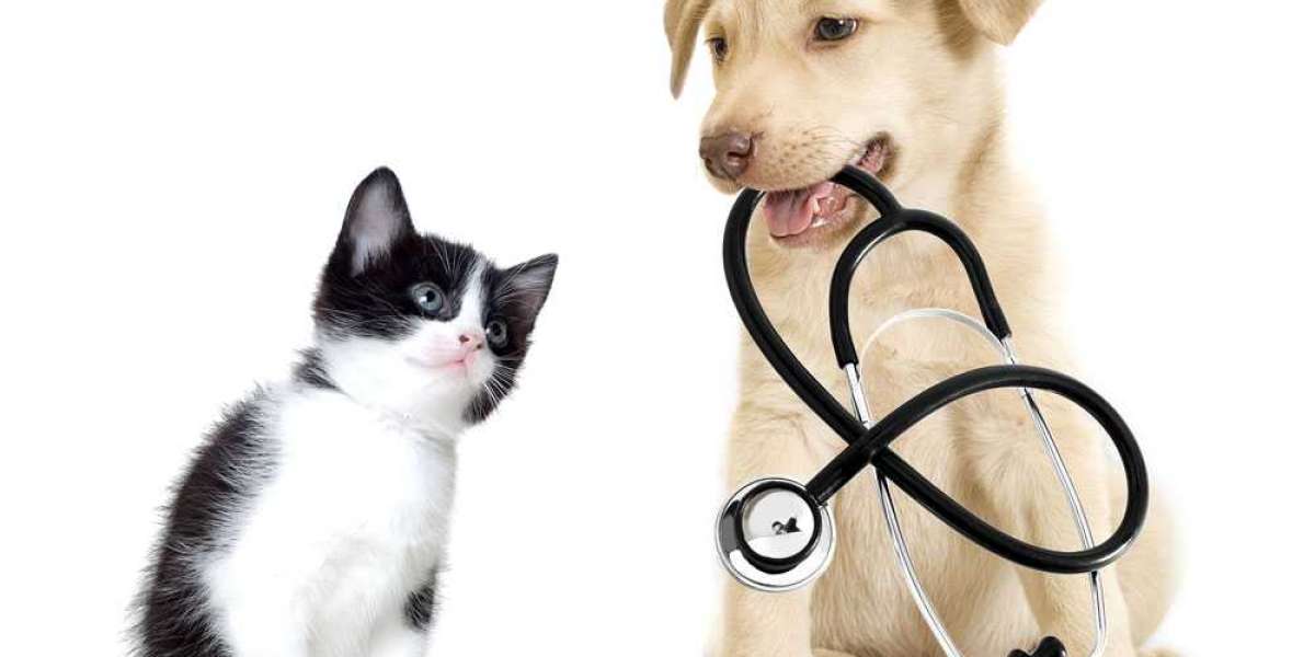 Pet Insurance Market Opportunity Assessment Study 2030