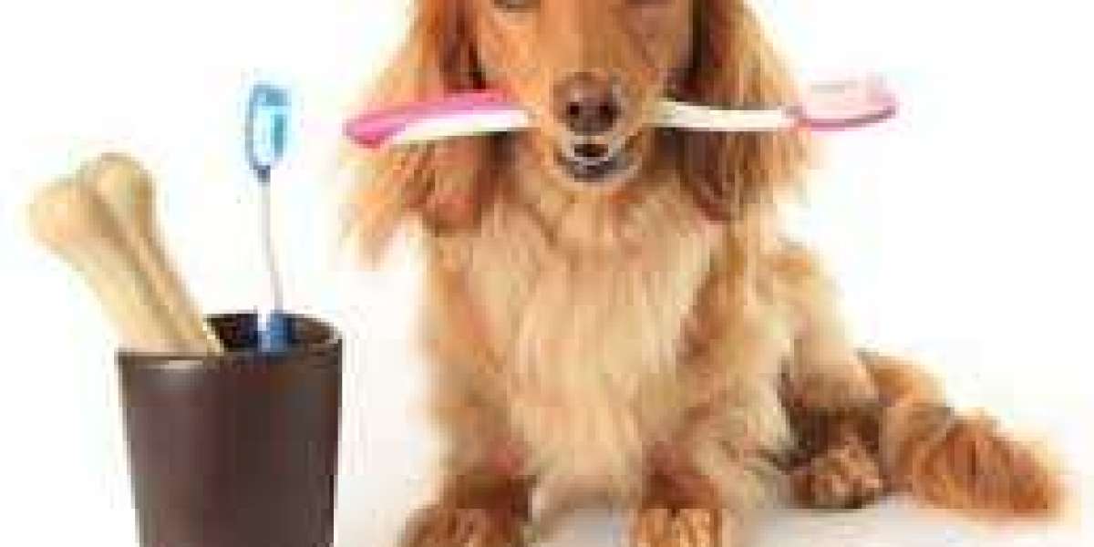 Pet Oral Care Market Overview, Growth, Share, Revenue and Forecast 2032