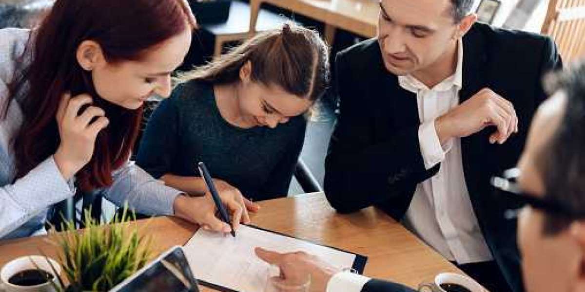 Pro Se Family Court Strategist