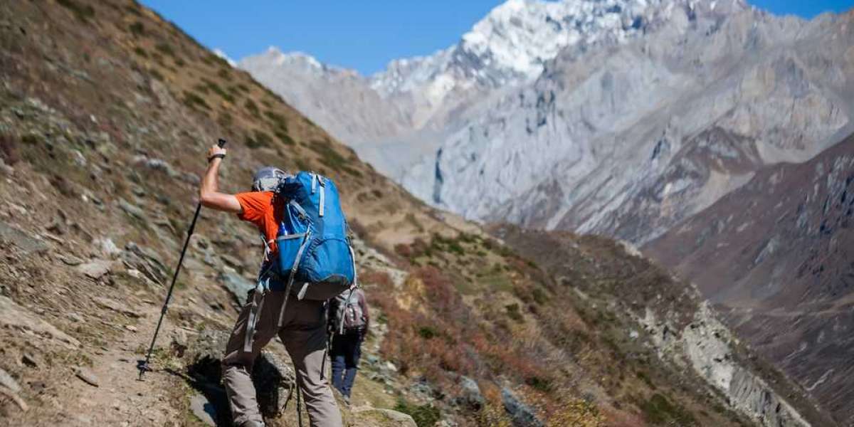 3 Must-Do Treks in Himachal Pradesh, India