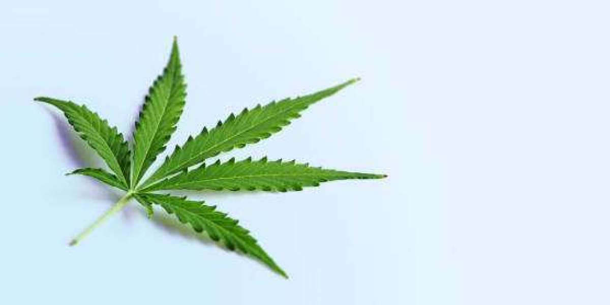 Vitapur CBD Gummies How Its Works?Customer Side Effects And benefits Reviews!